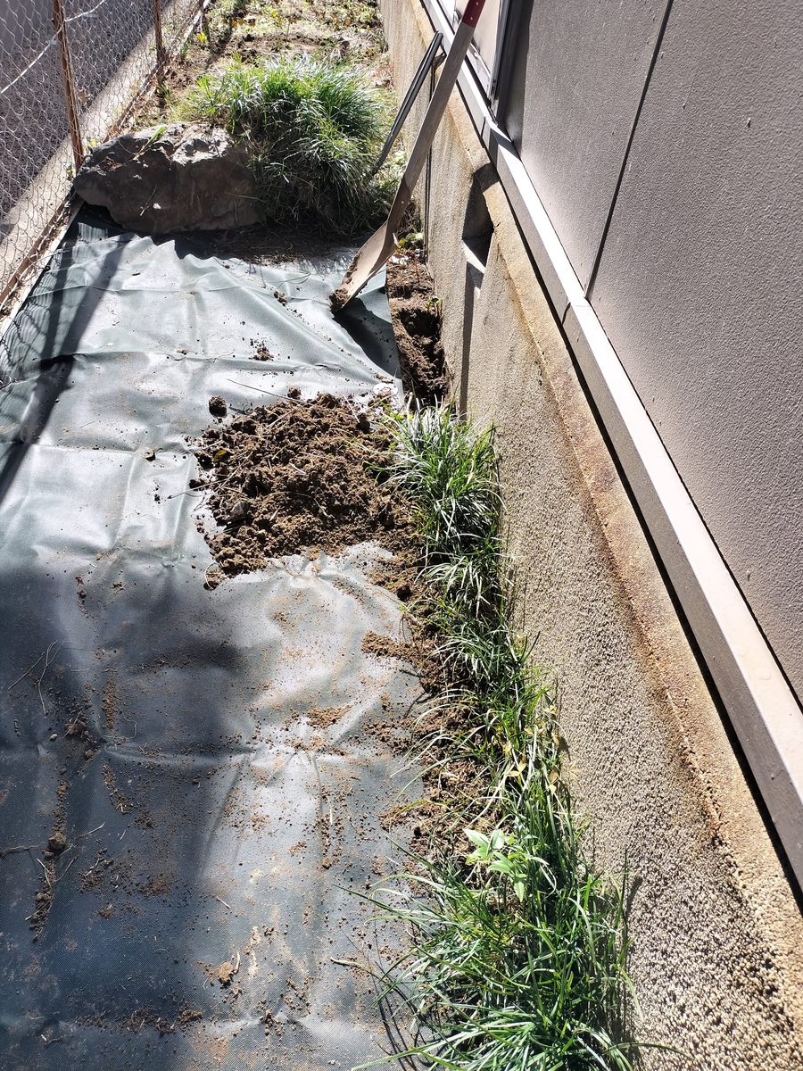 防草シートを敷いている作業中の様子