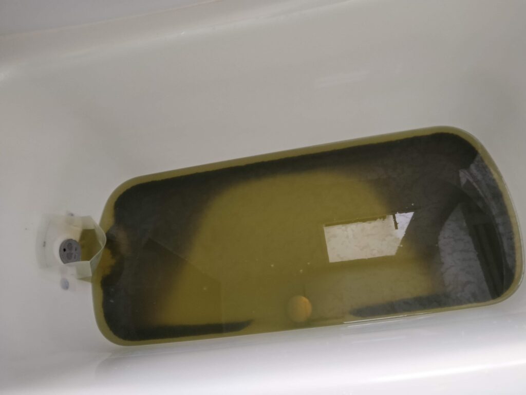 最も汚れがひどかった状態の水